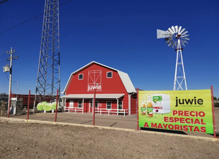 Imagen 17 09 25 a las 6.15 p.m 1 768x557